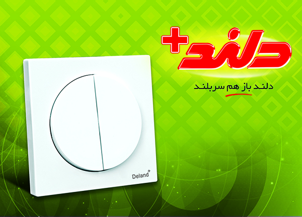 کلید و پریز دلند